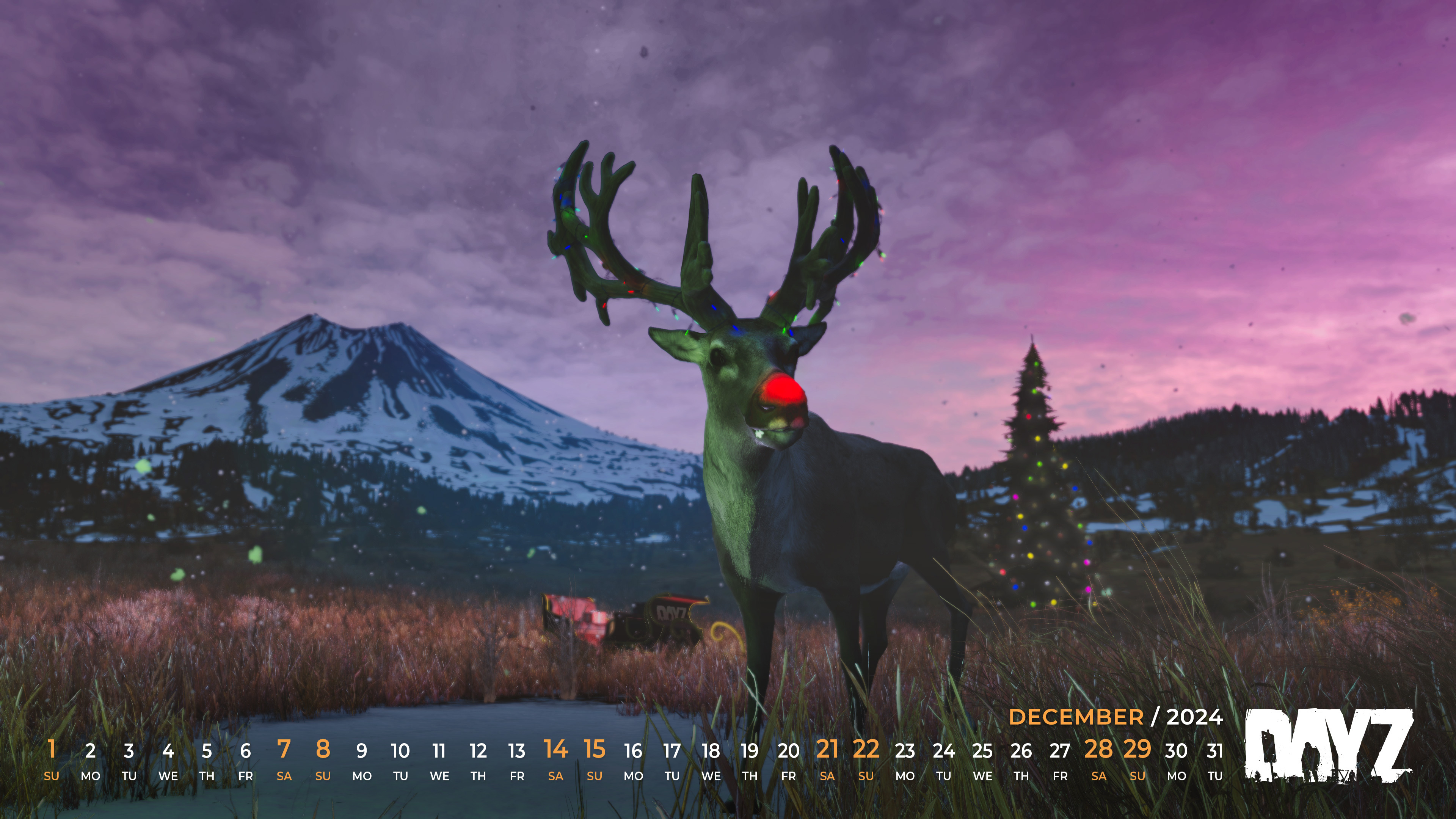 Community Spotlight - November 2024 | DayZ | Official website