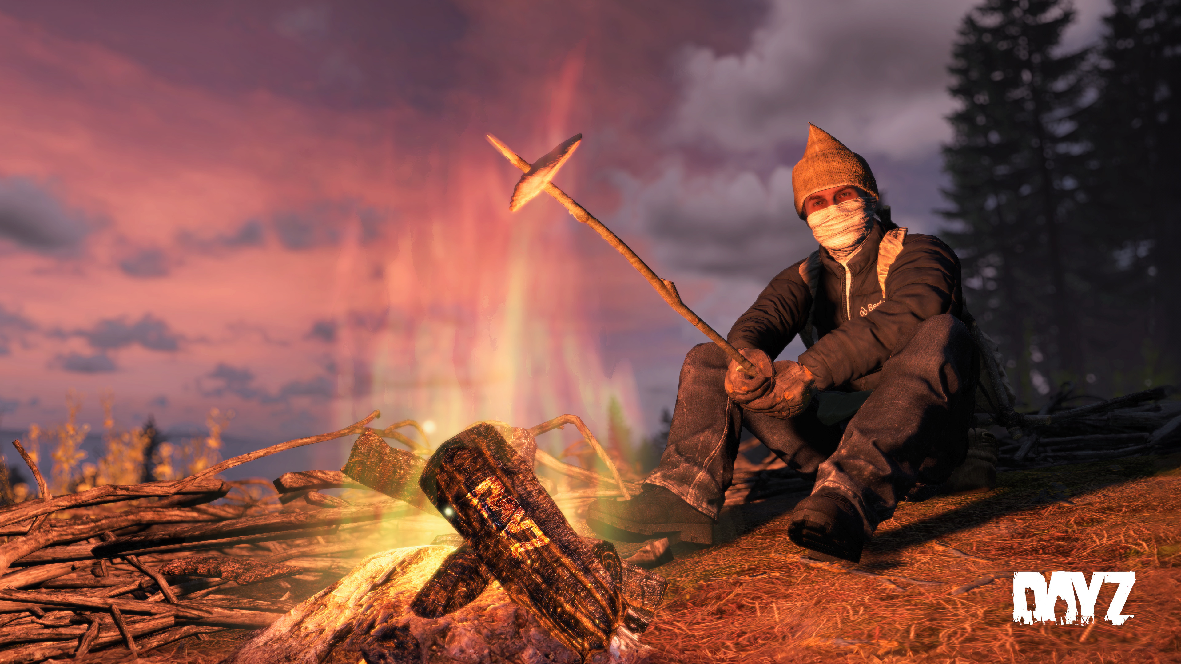 写真集 Wild dayz ポスター付き 写真集 Wild dayz ポスター付き