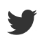 Twitter-Icon